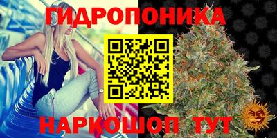mdma Дубна