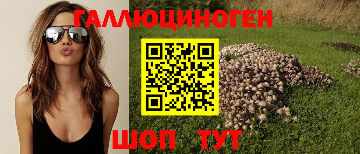 Псилоцибиновые грибы мицелий Магадан