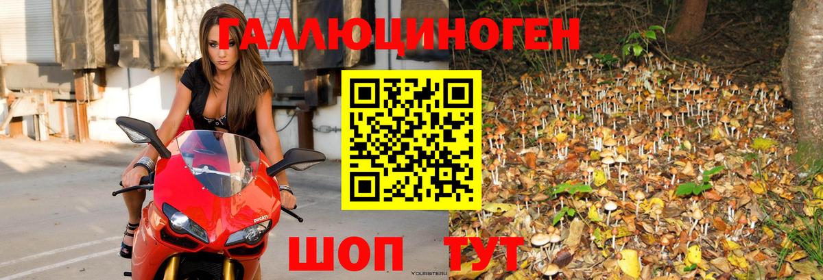 Галлюциногенные грибы Psilocybine cubensis  Вход с VPN  Магадан 